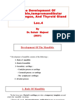 Lec. 4 Embryology Edited