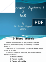 Cardiovascular System (L6) PDF