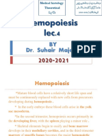 L4 Hemopoesis - Edited