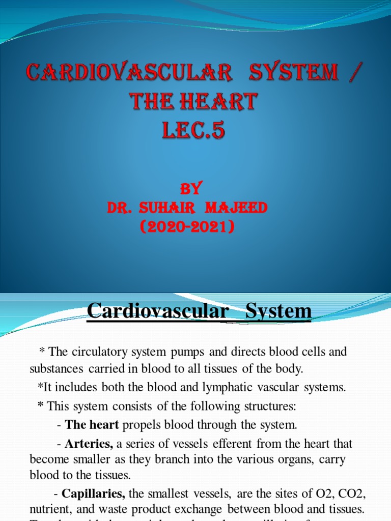L5 Cardiovascular System PDF | PDF | Heart Valve | Heart