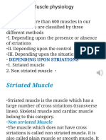 L11 Muscle 1