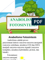Anabolisme Ok