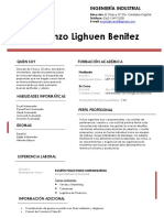 Curriculum Vitae Enzo