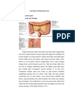 LP Ca Rectum