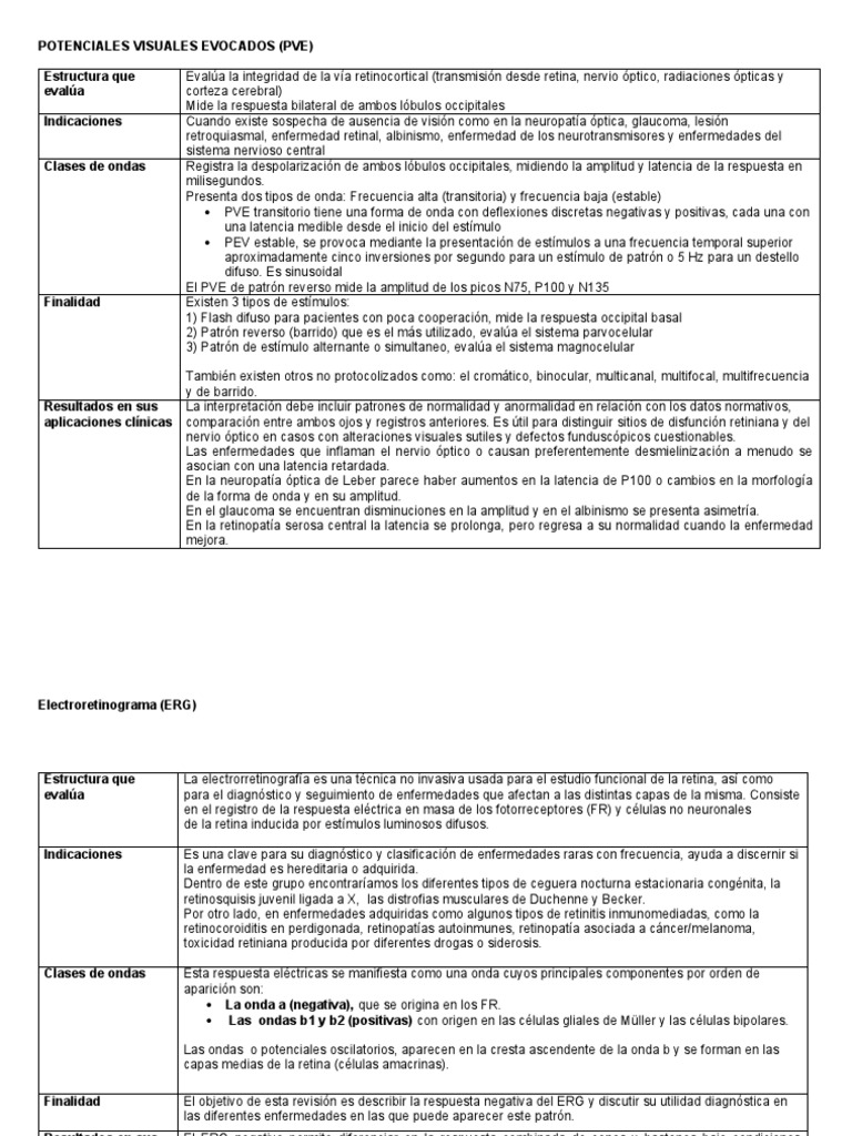 Pve, Erg. Perg | PDF | Percepción visual | Retina