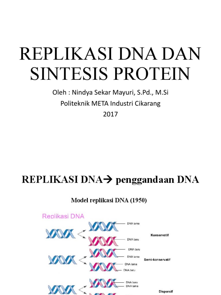 Replikasi DNA dan Sintesis Protein | PDF