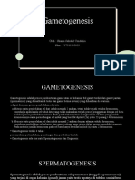 Gametogenesis