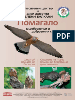 Птици в България 