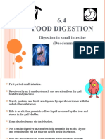 6.4 Food Digestion: Digestion in Small Intestine (Duodenum)