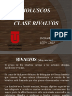 Clase Bivalvos