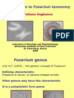 Introduction To Fusarium Taxonomy: Tatiana Gagkaeva