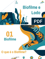 1.+Biofilme+e+Lodos+ +Slide