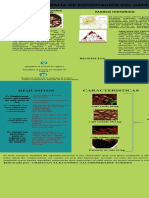 Infografia