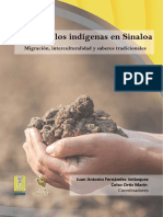 Desplazamiento Forzado de Comunidades Rurales e Indígenas en Sinaloa (2006-2019)