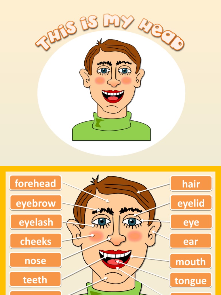 1 5057556383130452241 | PDF | Human Appearance | Facial Features