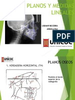 Planos y Medidas Lineales Nuevo