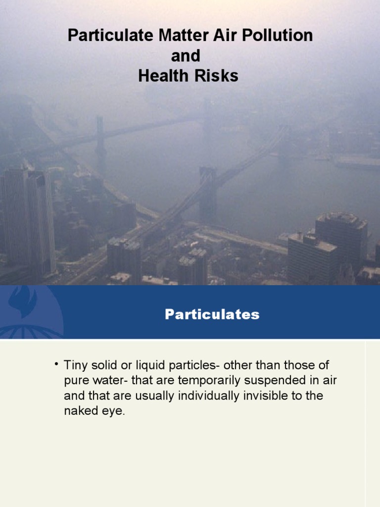 Particulate Matter Air Pollution and Health Risks | PDF | Particulates ...