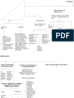 Mapa Conceptual VICTOR EL NIÑO SALVAJE