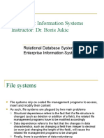 Relational Databases in Enterprise Information Systems