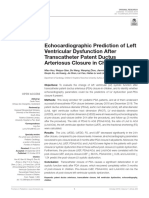 Echocardiographic Prediction of Left Ventricular Dysfunction After Transcatheter Patent Ductus Arteriosus Closure in Children