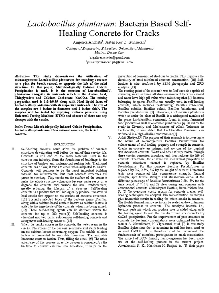 Self Healing Concrete Manuscript | PDF | Bacillus | Concrete