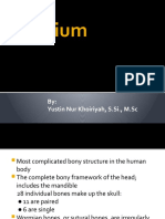 Cranium: By: Yustin Nur Khoiriyah, S.Si., M.SC