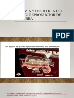 Anatomía y Fisiología Del Aparato Reproductor de La Hembra