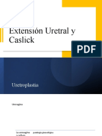 Extensión Uretral y Caslick