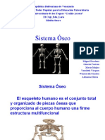 Anatomia II Semestre Sistema Oseo