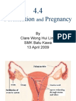 Fertilisation and Pregnancy Stages