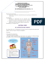 Guia de Trabajo #2 Ciencias