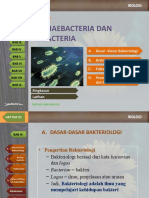 BAB 3 Archaebacteria Dan Eubacteria