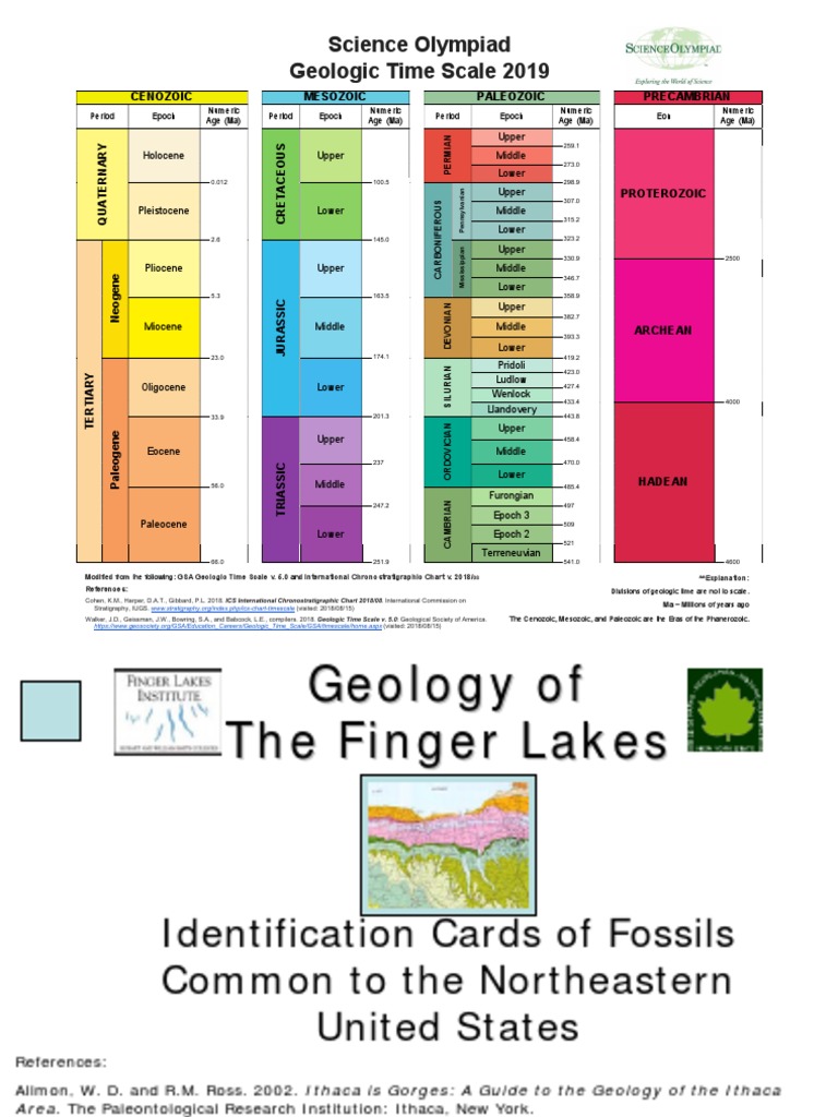 Fossils Camas Cheat Sheet PDF Geologic Time Scale Fossil