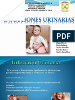 Infeccionurinariaseminario 141027211456 Conversion Gate01