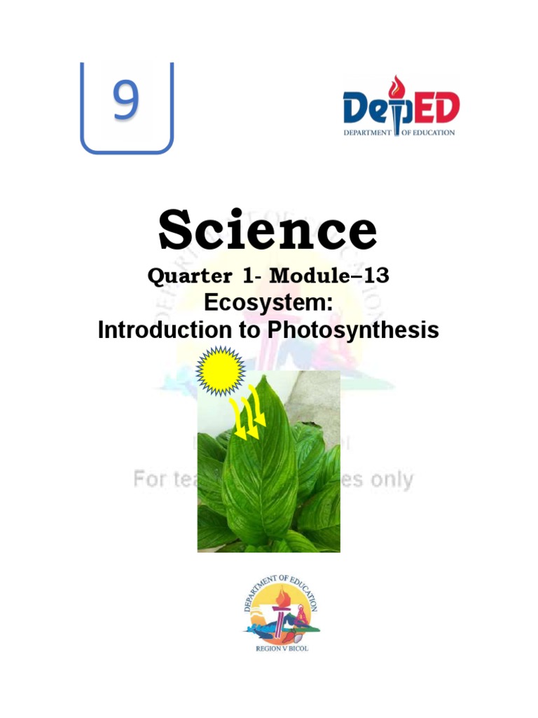 13 Quarter 1 Module 13-INTRODUCTION-TO-PHOTOSYNTHESIS | PDF | Photosynthesis  | Plants