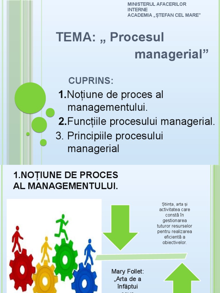 Procesul Managerial | PDF