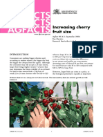 Increasing Cherry Fruit Size