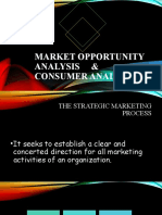 Market Opportunity Analysis &