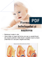 Formarea Bebelusului Si Nasterea