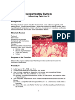 Anatomy - (Skin) Integumentary System Laboratory Exercise