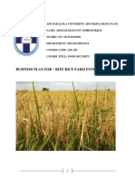 Rite Rice Farm Business Plan