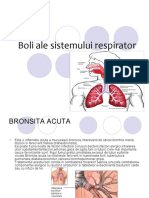 Boli Ale Sistemului Respirator 56988b9d6b11b