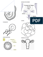 Biologia y Etica Solo Imagenes para Colorear