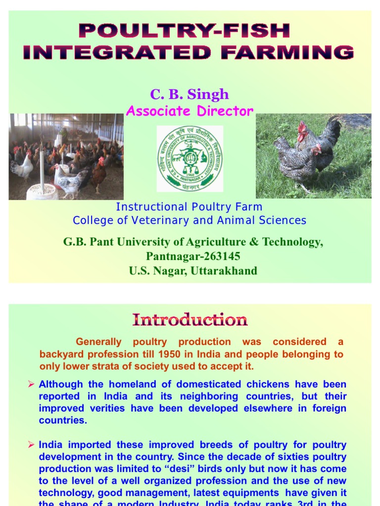 PoultryFish Integrated Farming PDF Poultry Chicken