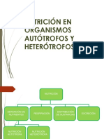 Nutrición en Autótrofos y Heterótrofos