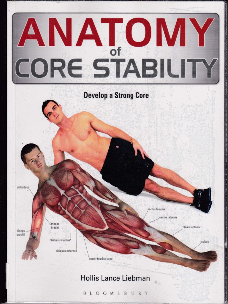 Anatomy of Core Stability PDF Joints Lower Limb Anatomy