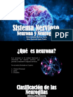 Sitema Nervioso Neuronas y Neuroglia