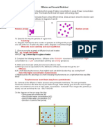 Diffusion and Osmosis Worksheet KEY 08