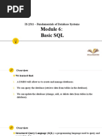 Basic SQL: IS 2511 - Fundamentals of Database Systems