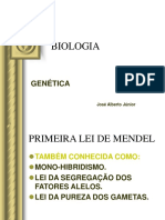 Primeira Lei de Mendel 2